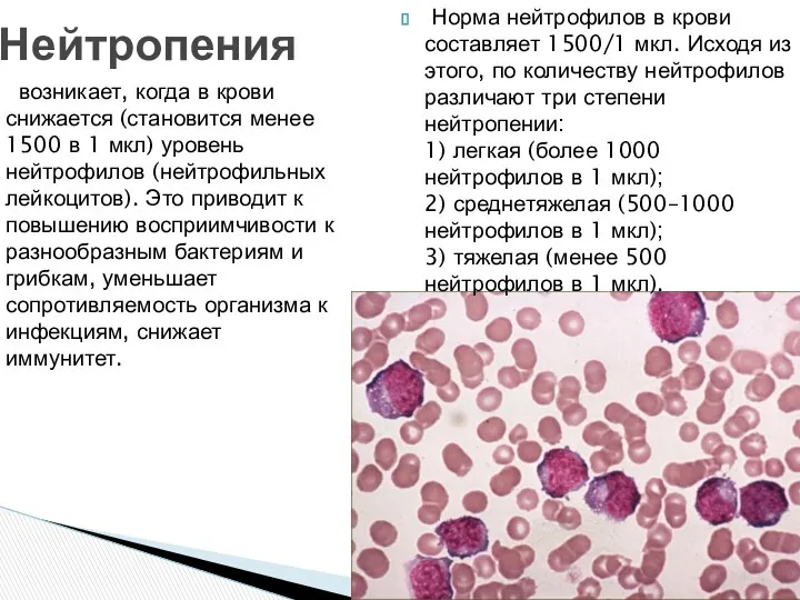 Норма нейтрофилов в крови составляет 1500/1 мкл. Исходя из этого,