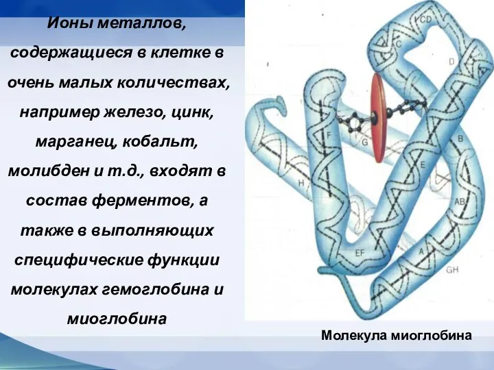 Ионы металлов, содержащиеся в клетке в очень малых количествах, например железо, цинк, марганец,