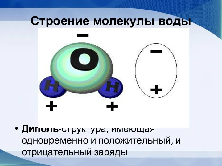 Строение молекулы воды Диполь-структура, имеющая одновременно и положительный, и отрицательный заряды