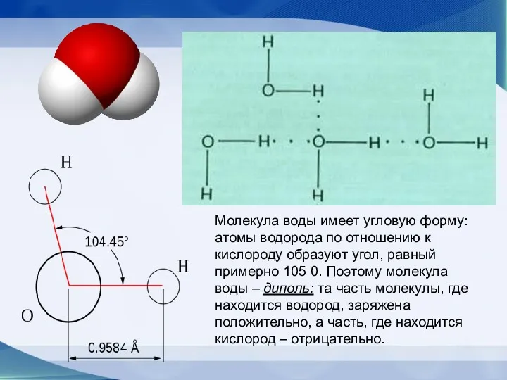 Молекула воды имеет угловую форму: атомы водорода по отношению к