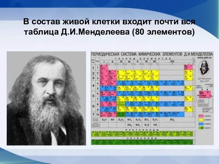 В состав живой клетки входит почти вся таблица Д.И.Менделеева (80 элементов)