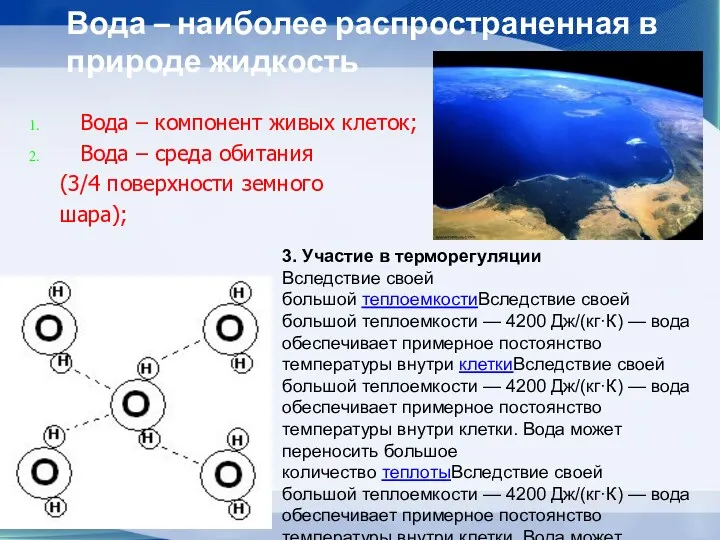 Вода – компонент живых клеток; Вода – среда обитания (3/4 поверхности земного шара);