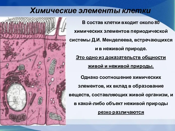 Химические элементы клетки В состав клетки входит около 80 химических