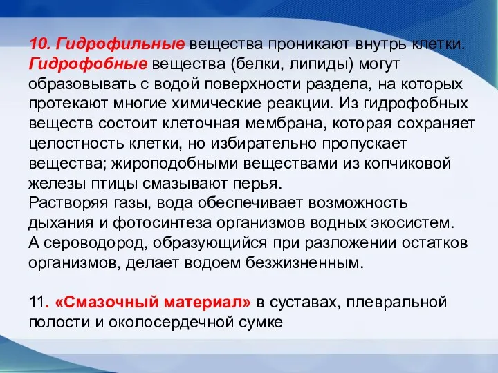 10. Гидрофильные вещества проникают внутрь клетки. Гидрофобные вещества (белки, липиды) могут образовывать с