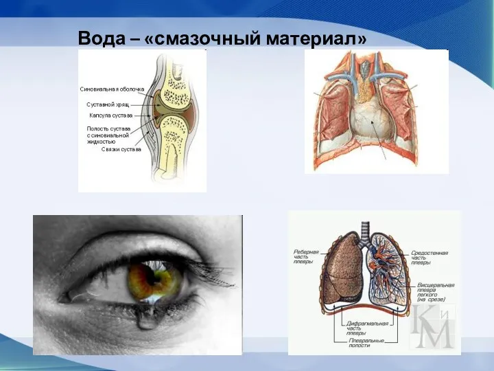 Вода – «смазочный материал»