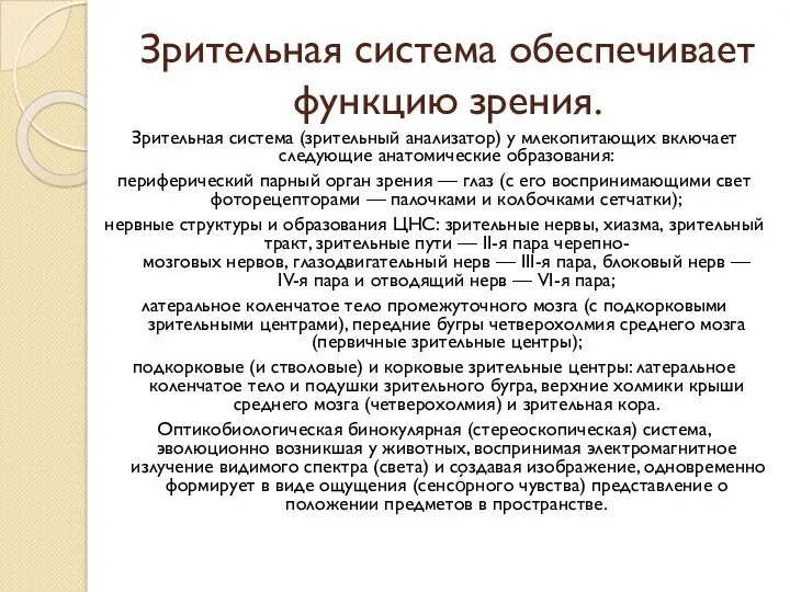 Зрительная система обеспечивает функцию зрения. Зрительная система (зрительный анализатор) у