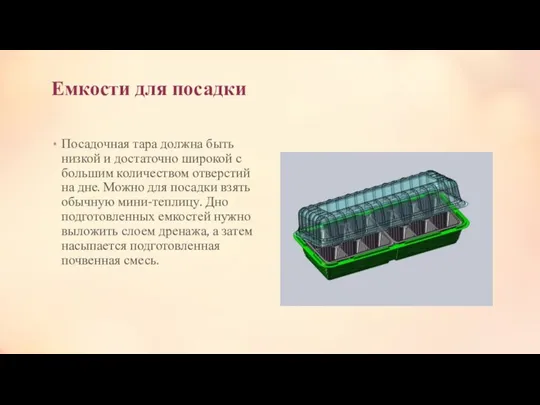 Емкости для посадки Посадочная тара должна быть низкой и достаточно