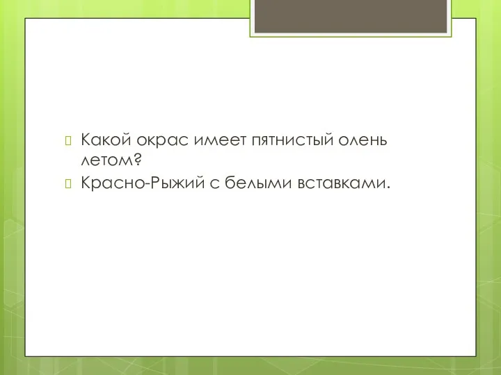 Какой окрас имеет пятнистый олень летом? Красно-Рыжий с белыми вставками.