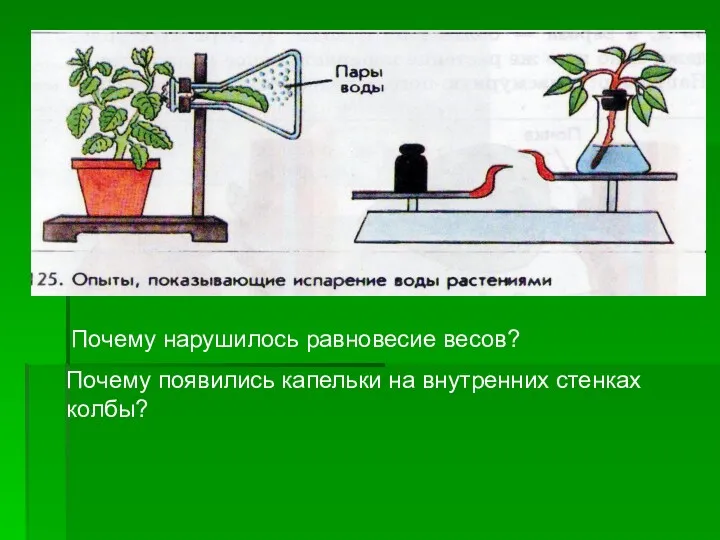 Почему нарушилось равновесие весов? Почему появились капельки на внутренних стенках колбы?