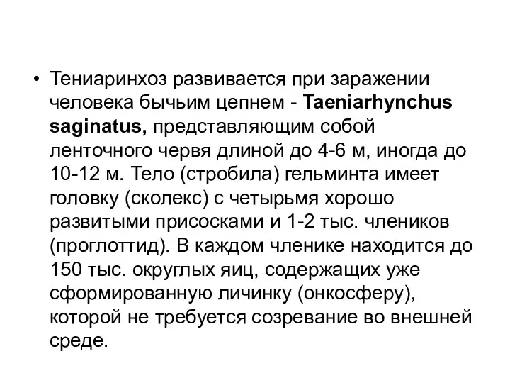 Тениаринхоз развивается при заражении человека бычьим цепнем - Taeniarhynchus saginatus,