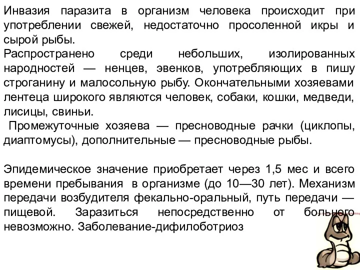 Инвазия паразита в организм человека происходит при употреблении свежей, недостаточно