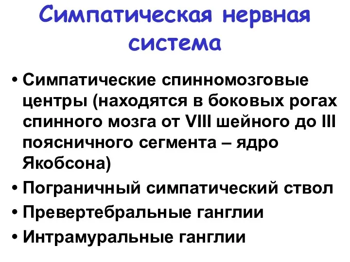 Симпатическая нервная система Симпатические спинномозговые центры (находятся в боковых рогах спинного мозга от