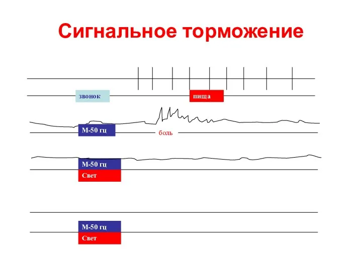 Сигнальное торможение