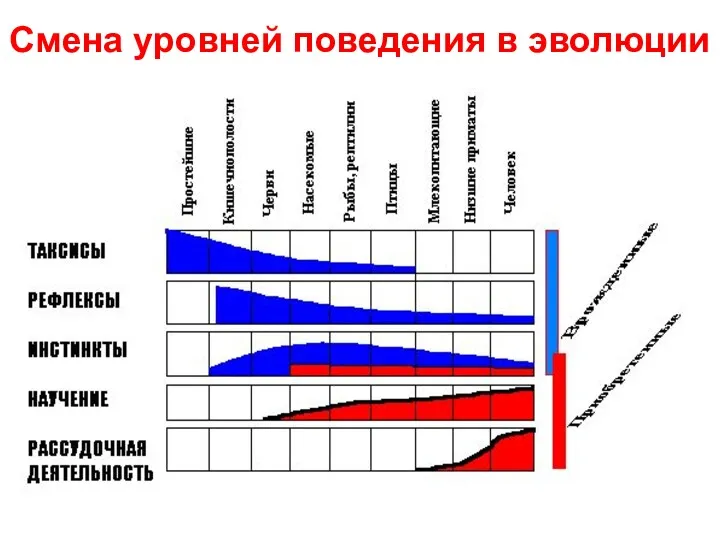 Смена уровней поведения в эволюции