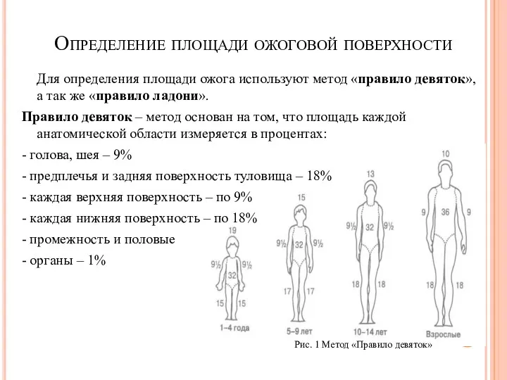 Определение площади ожоговой поверхности Для определения площади ожога используют метод