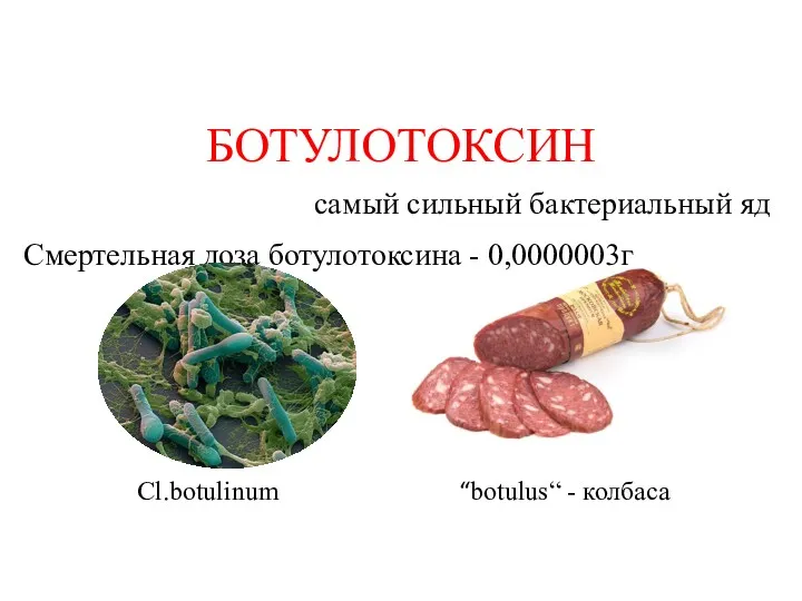 БОТУЛОТОКСИН “botulus“ - колбаса самый сильный бактериальный яд Сl.bоtulinum Смертельная доза ботулотоксина - 0,0000003г