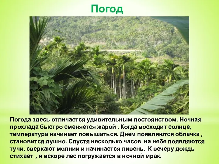 Погода. Погода здесь отличается удивительным постоянством. Ночная прохлада быстро сменяется