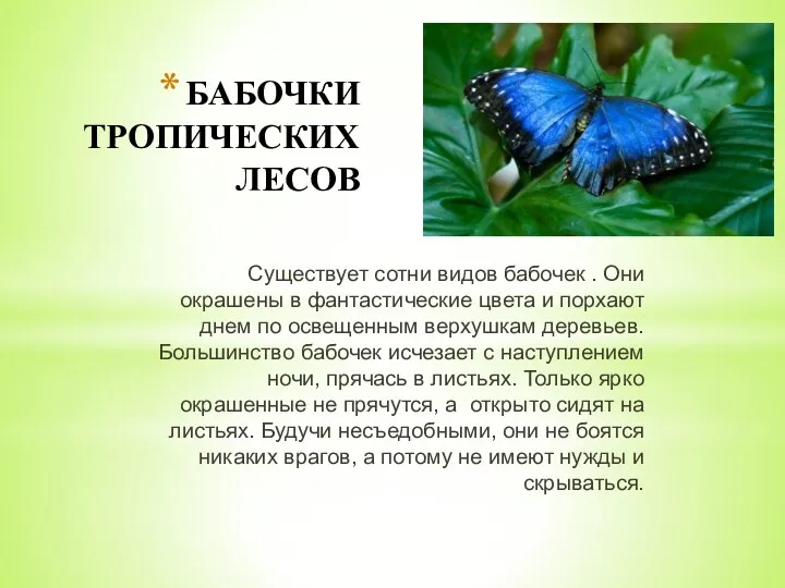 БАБОЧКИ ТРОПИЧЕСКИХ ЛЕСОВ Существует сотни видов бабочек . Они окрашены