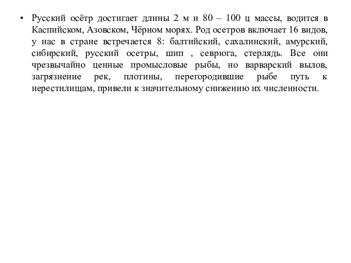 Русский осётр достигает длины 2 м и 80 – 100