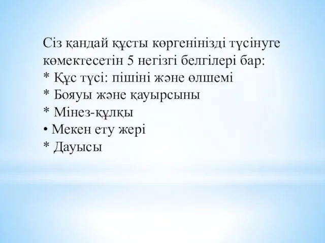 Сіз қандай құсты көргенінізді түсінуге көмектесетін 5 негізгі белгілері бар: