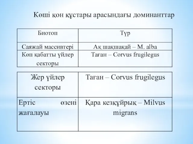 Көші қон құстары арасындағы доминанттар