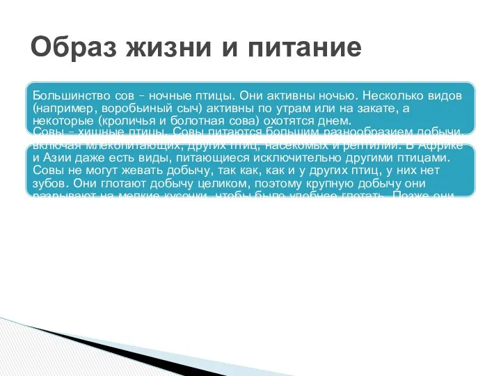 Большинство сов – ночные птицы. Они активны ночью. Несколько видов