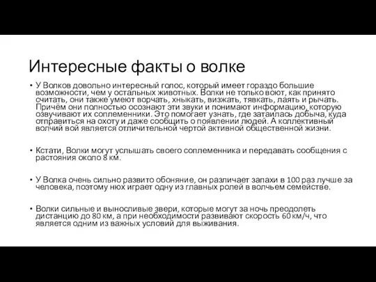 Интересные факты о волке У Волков довольно интересный голос, который