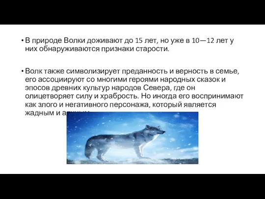 В природе Волки доживают до 15 лет, но уже в