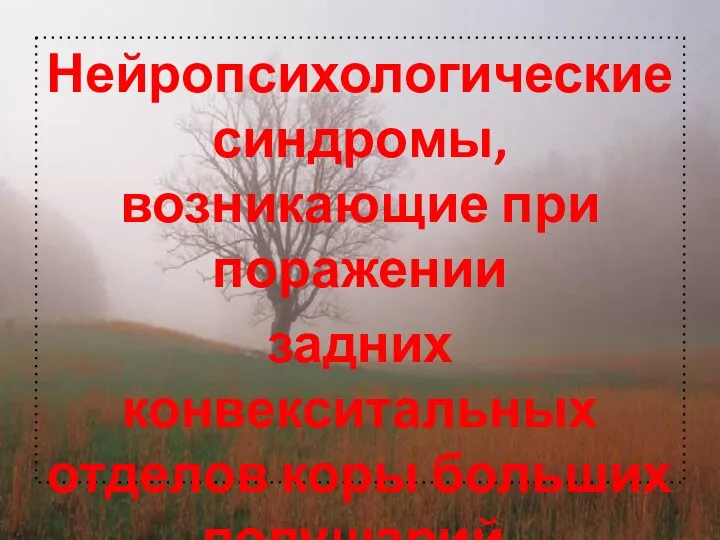 Нейропсихологические синдромы, возникающие при поражении задних конвекситальных отделов коры больших полушарий.