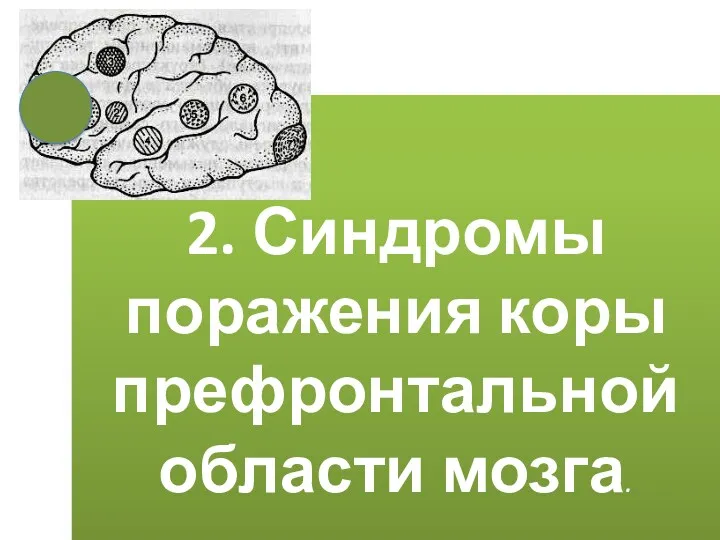 2. Синдромы поражения коры префронтальной области мозга.