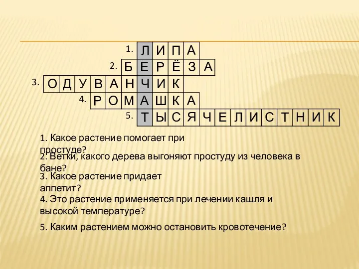 1. Какое растение помогает при простуде? 2. Ветки, какого дерева