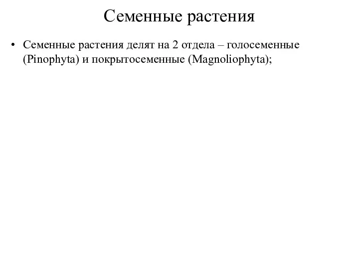 Семенные растения Семенные растения делят на 2 отдела – голосеменные