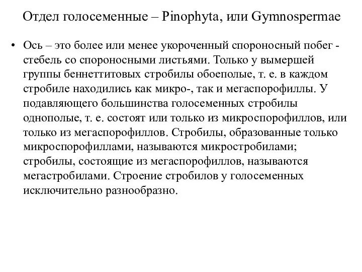 Отдел голосеменные – Pinophyta, или Gymnospermae Ось – это более