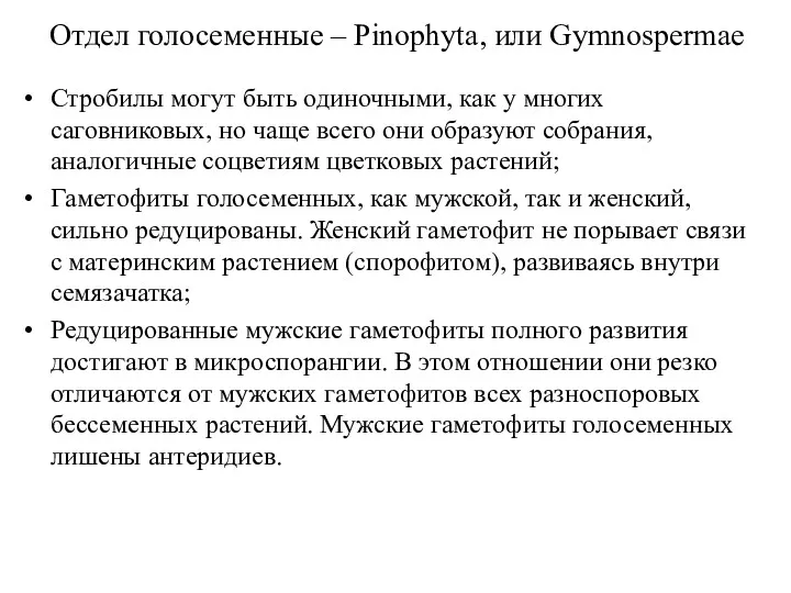 Отдел голосеменные – Pinophyta, или Gymnospermae Стробилы могут быть одиночными,