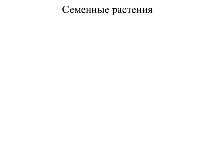 Семенные растения Семя образуется в результате развития семязачатка. Центральная часть