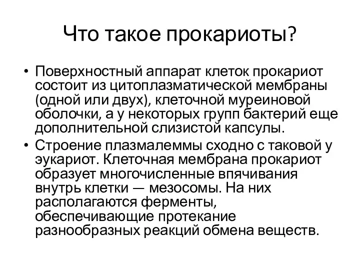 Что такое прокариоты? Поверхностный аппарат клеток прокариот состоит из цитоплазматической