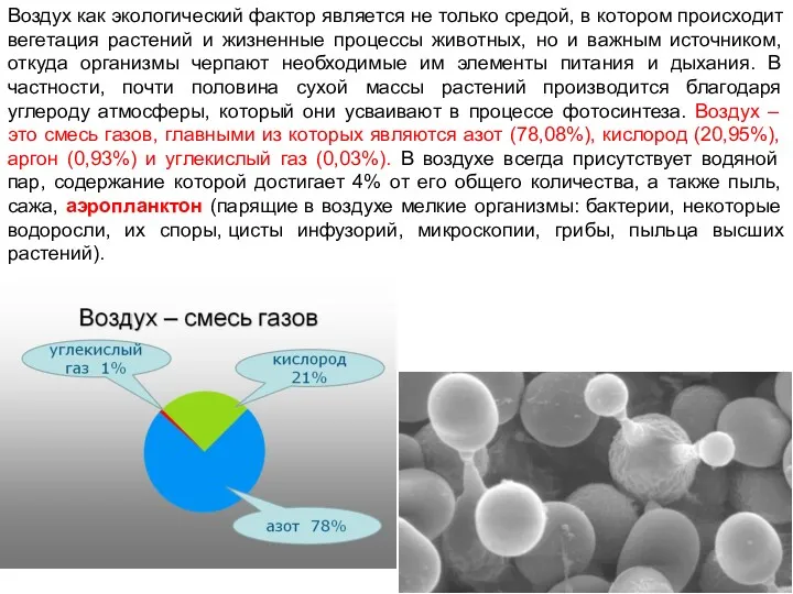 Воздух как экологический фактор является не только средой, в котором