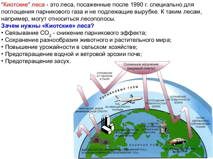 "Киотские" леса - это леса, посаженные после 1990 г. специально