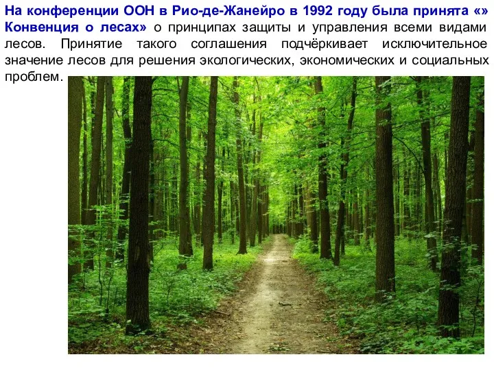 На конференции ООН в Рио-де-Жанейро в 1992 году была принята