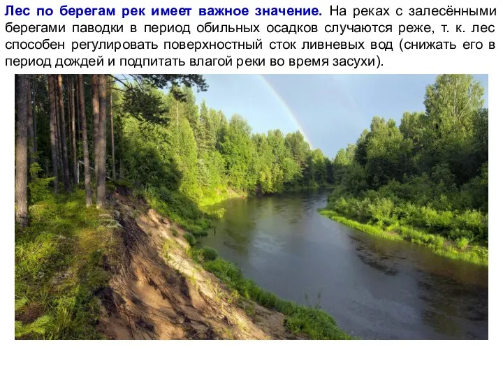 Лес по берегам рек имеет важное значение. На реках с