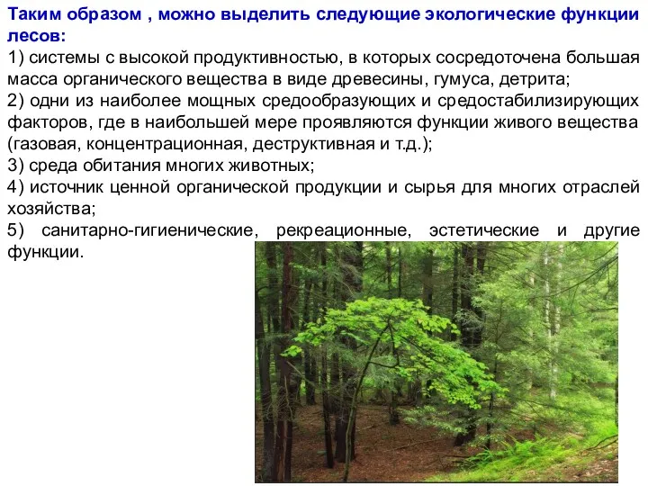 Таким образом , можно выделить следующие экологические функции лесов: 1)