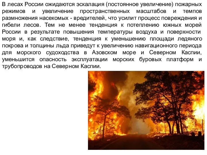 В лесах России ожидаются эскалация (постоянное увеличение) пожарных режимов и