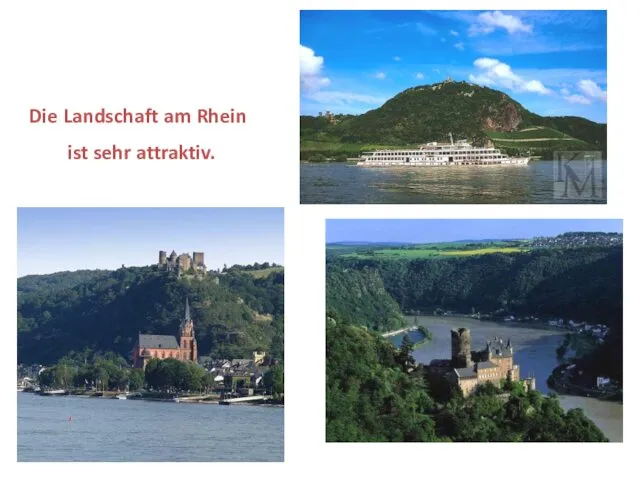 Die Landschaft am Rhein ist sehr attraktiv.