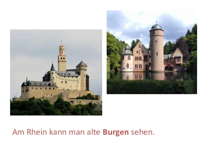 Am Rhein kann man alte Burgen sehen.
