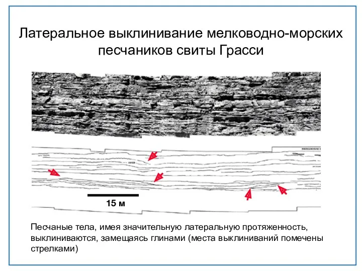 Латеральное выклинивание мелководно-морских песчаников свиты Грасси Песчаные тела, имея значительную