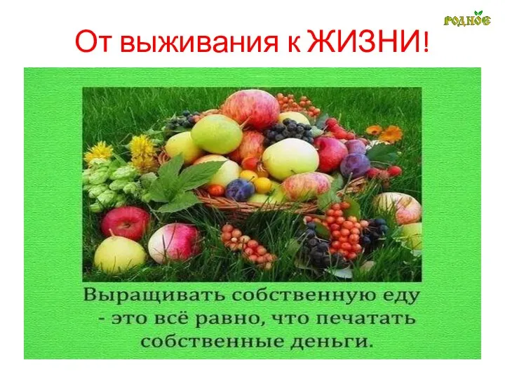 От выживания к ЖИЗНИ!