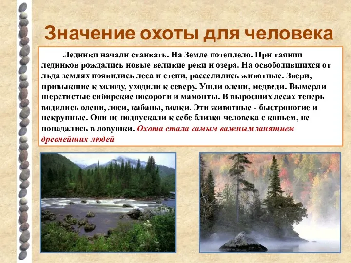 Значение охоты для человека Ледники начали стаивать. На Земле потеплело.