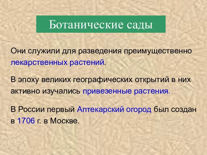 Ботанические сады Они служили для разведения преимущественно лекарственных растений. В