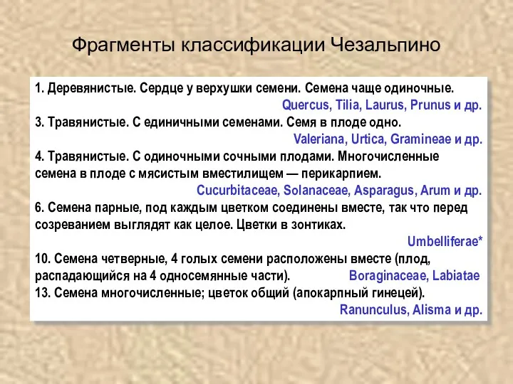 Фрагменты классификации Чезальпино 1. Деревянистые. Сердце у верхушки семени. Семена