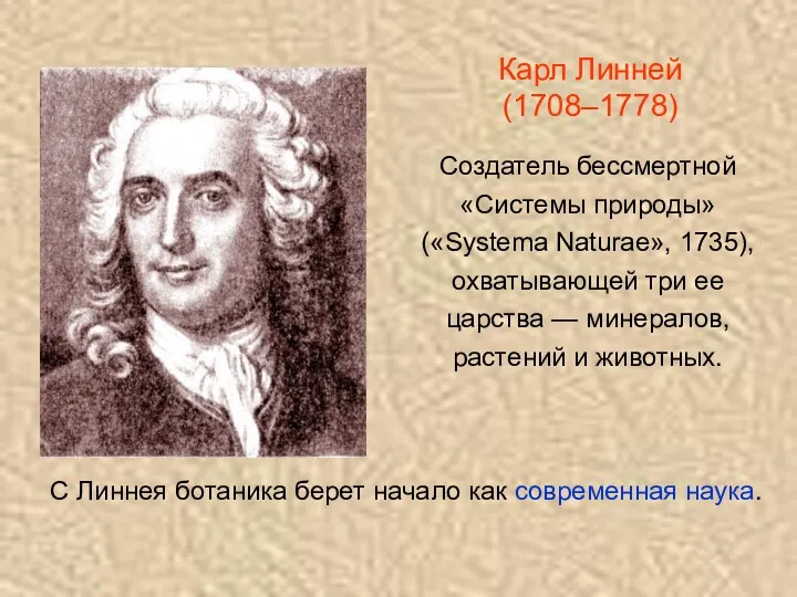 Карл Линней (1708–1778) Создатель бессмертной «Системы природы» («Systema Naturae», 1735),